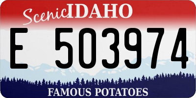 ID license plate E503974