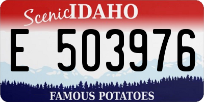 ID license plate E503976