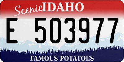 ID license plate E503977