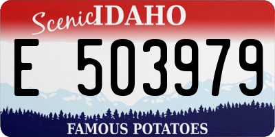 ID license plate E503979