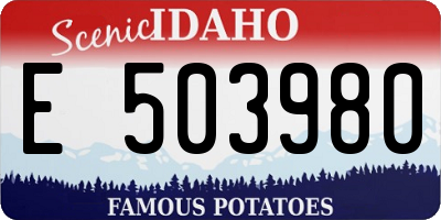 ID license plate E503980