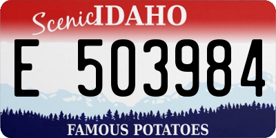 ID license plate E503984