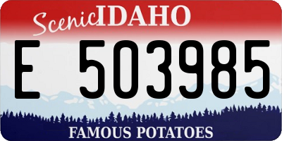 ID license plate E503985