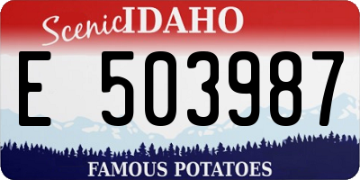 ID license plate E503987