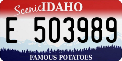 ID license plate E503989