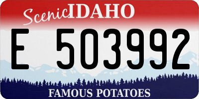 ID license plate E503992