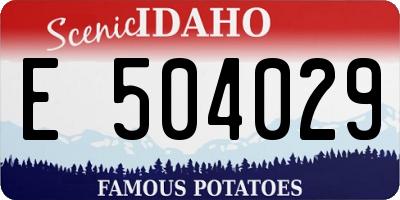 ID license plate E504029