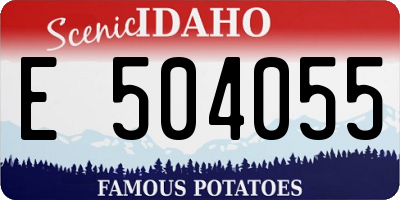 ID license plate E504055