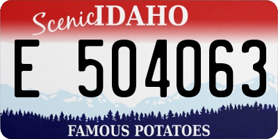 ID license plate E504063