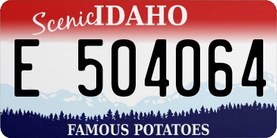 ID license plate E504064