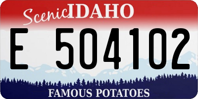 ID license plate E504102