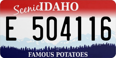 ID license plate E504116