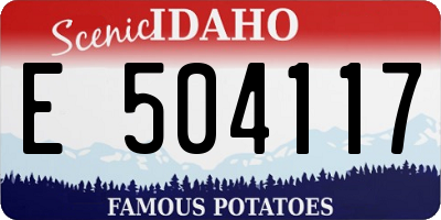 ID license plate E504117