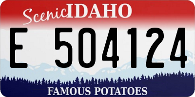 ID license plate E504124