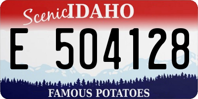 ID license plate E504128