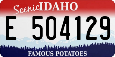ID license plate E504129
