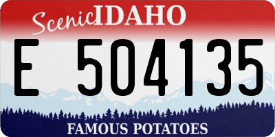 ID license plate E504135