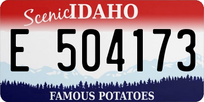 ID license plate E504173
