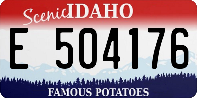 ID license plate E504176