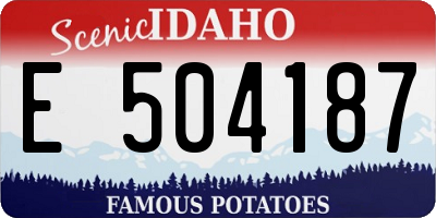 ID license plate E504187