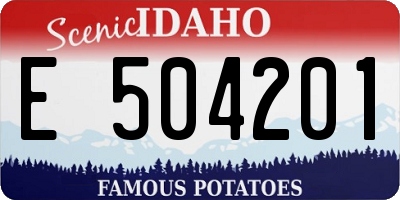 ID license plate E504201