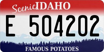 ID license plate E504202