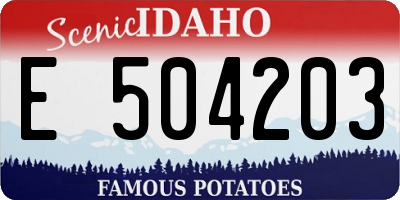 ID license plate E504203