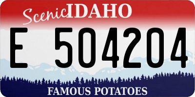 ID license plate E504204