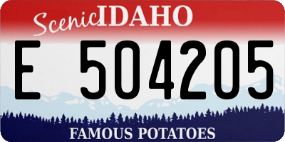 ID license plate E504205