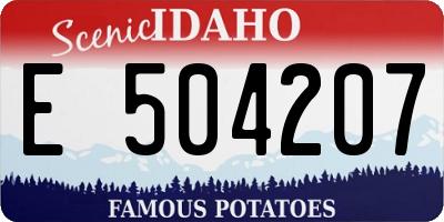 ID license plate E504207