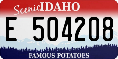 ID license plate E504208