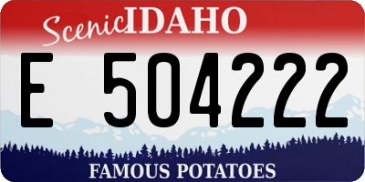ID license plate E504222