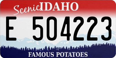 ID license plate E504223