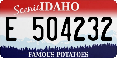 ID license plate E504232