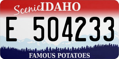ID license plate E504233