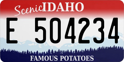 ID license plate E504234