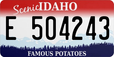 ID license plate E504243