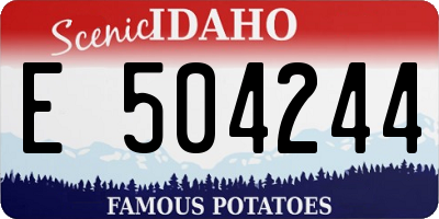ID license plate E504244