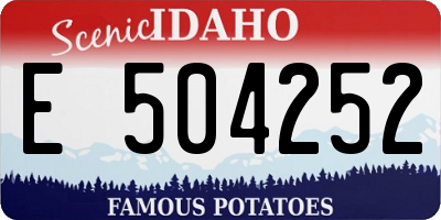 ID license plate E504252
