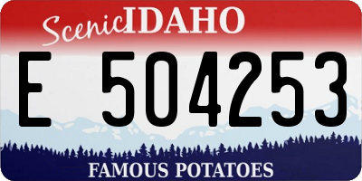 ID license plate E504253