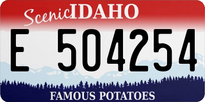 ID license plate E504254