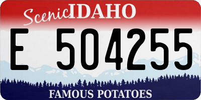 ID license plate E504255