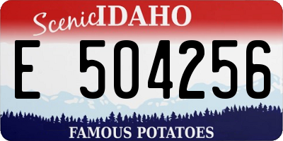 ID license plate E504256