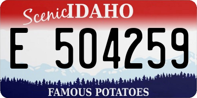 ID license plate E504259