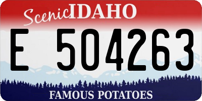 ID license plate E504263