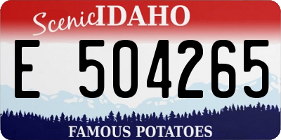 ID license plate E504265