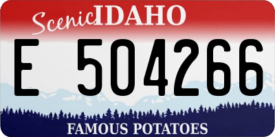 ID license plate E504266