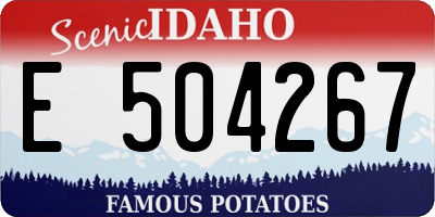ID license plate E504267