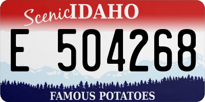 ID license plate E504268