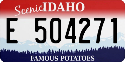 ID license plate E504271
